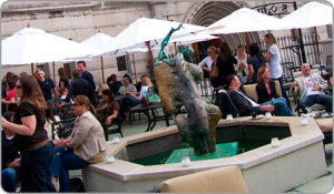 Weddings at the Bluestone